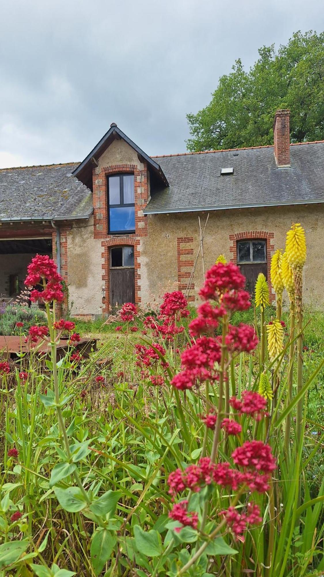 Ecolodges De Loire & Spa Gennes-Val-de-Loire Luaran gambar