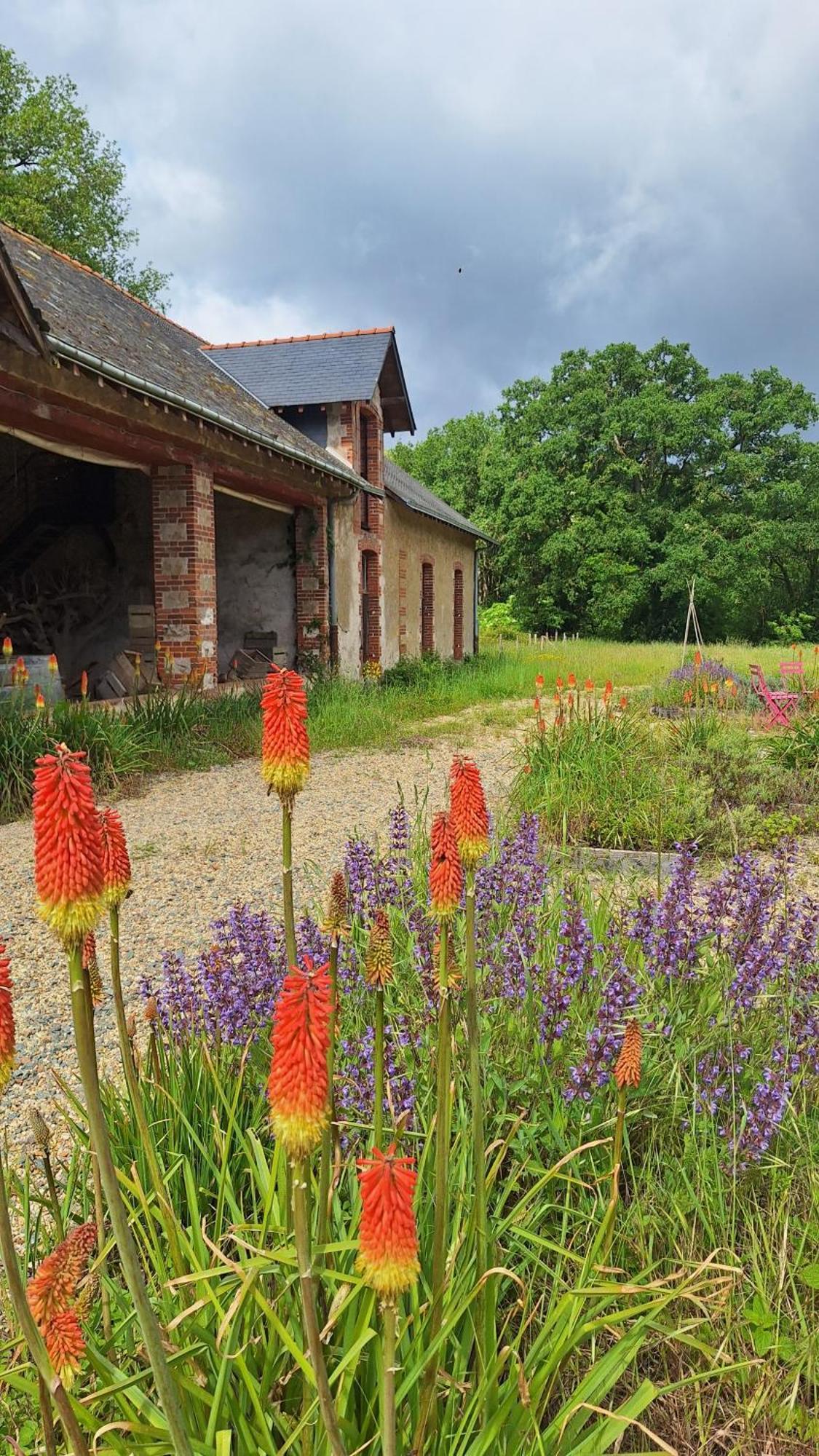 Ecolodges De Loire & Spa Gennes-Val-de-Loire Luaran gambar