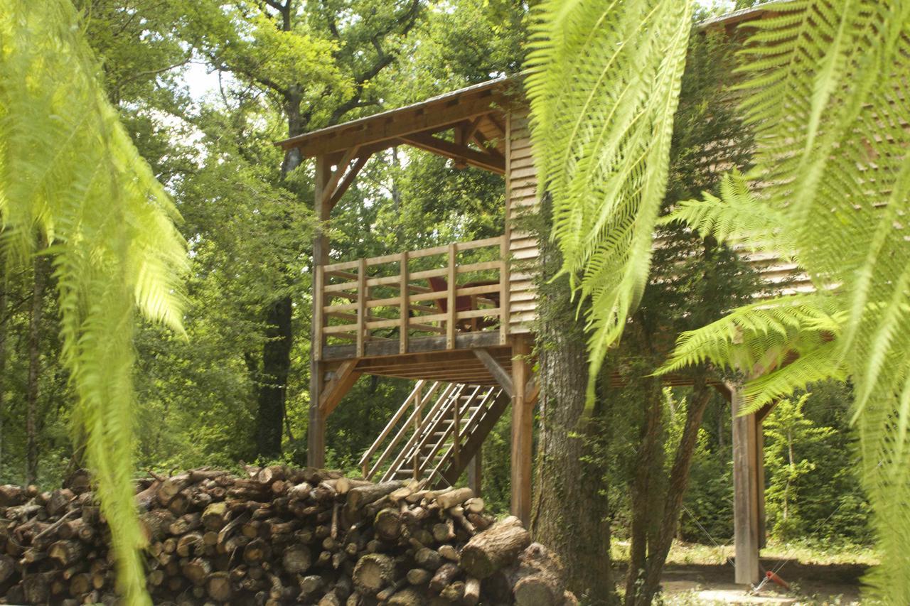 Ecolodges De Loire & Spa Gennes-Val-de-Loire Luaran gambar
