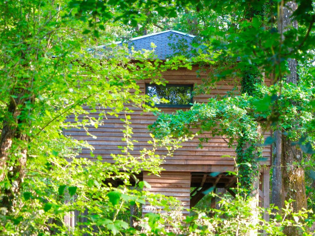 Ecolodges De Loire & Spa Gennes-Val-de-Loire Luaran gambar